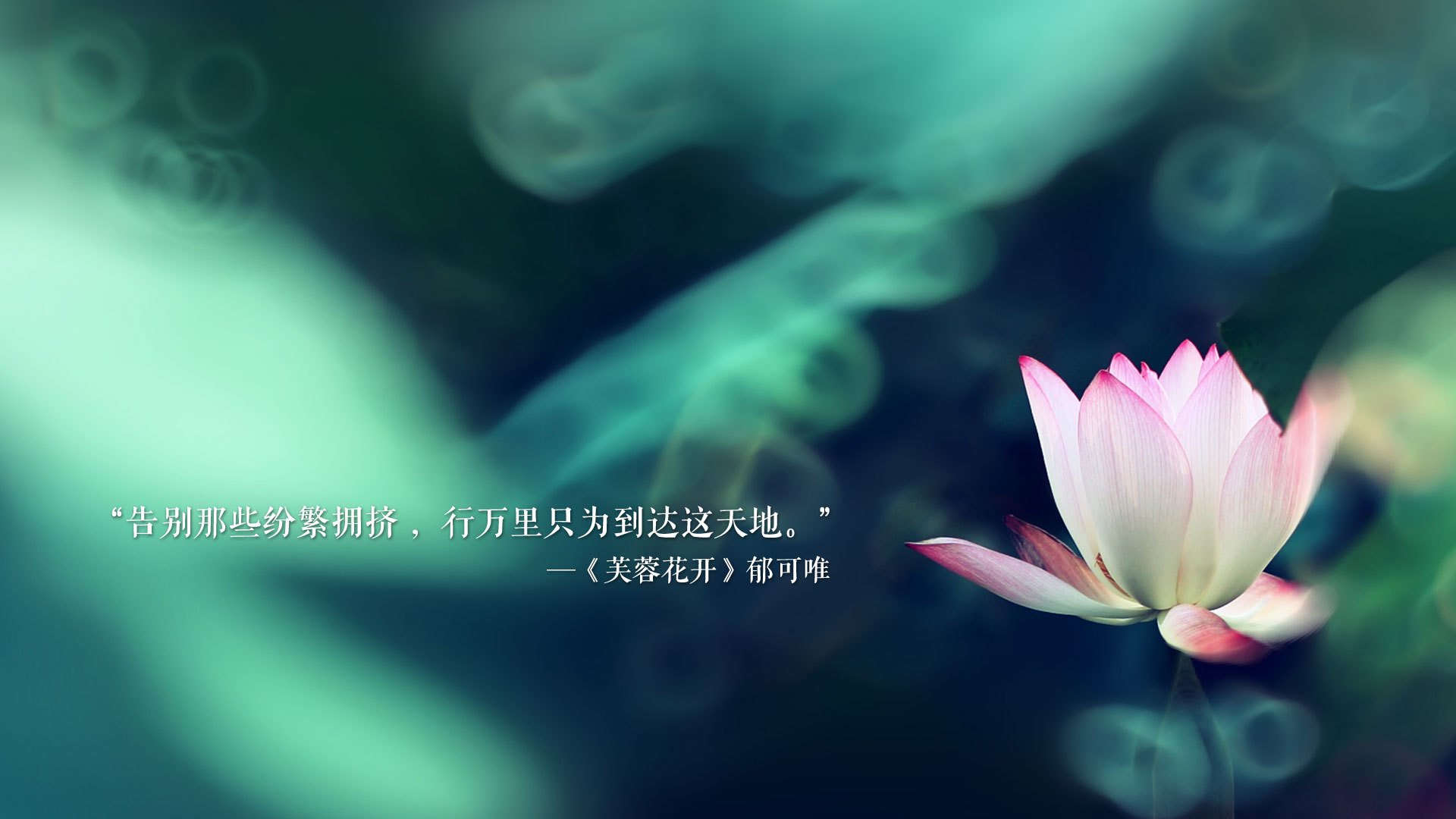 绿军风暴席卷金州，保罗末节封神，凯尔特人一波流终结勇士神话